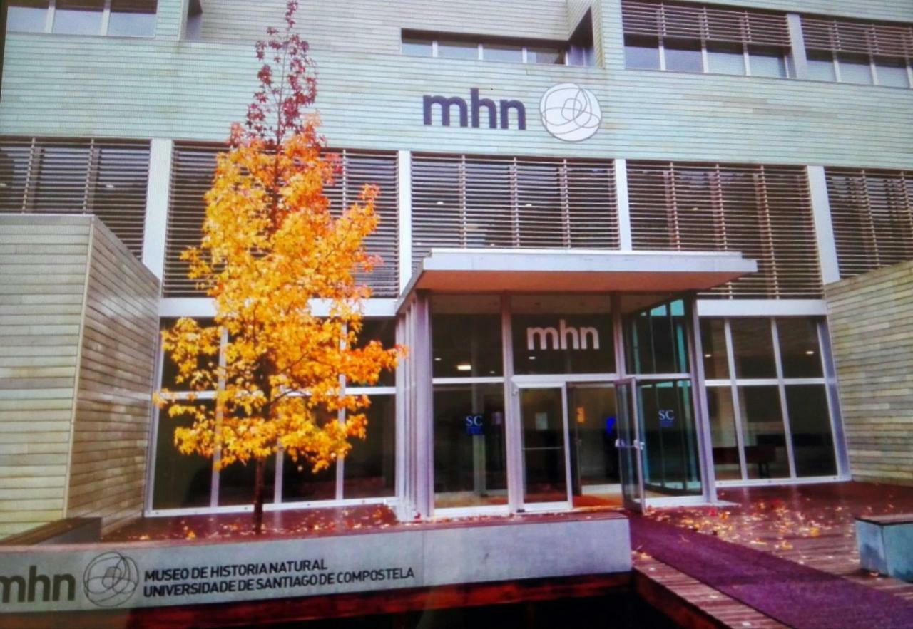 Ada Apartamento Σαντιάγο ντε Κομποστέλα Εξωτερικό φωτογραφία
